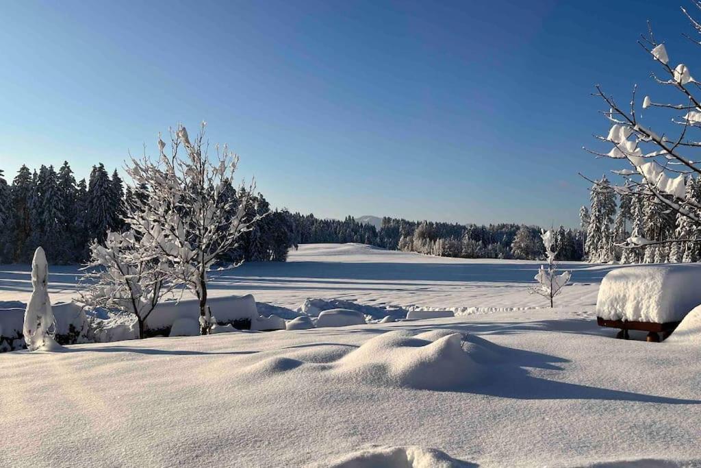 Allgaeuhaus Thomas Am Bauernhof Ferienwohnung Wald  Eksteriør bilde